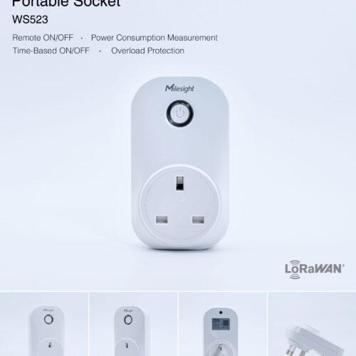 WS523 868M 13A UK 2